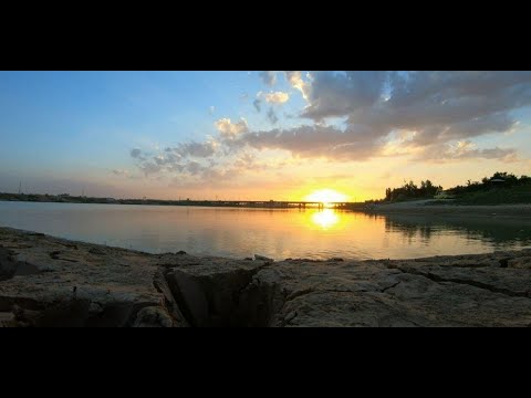 Видео: СЫРДАРЬЯ. РЫБАЛКА С НОЧЕВКОЙ