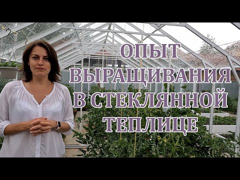 Видео: Опыт выращивания в стеклянной теплице botanik