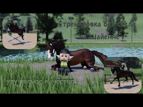 Видео: •тренировка без седла•улучшение качества|перезалив.