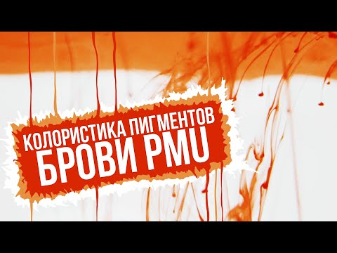 Видео: Колористика пигментов для перманентного макияжа БРОВИ. Фототипы по Фитцпатрику.