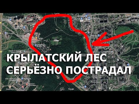 Видео: Уничтожение Крылатского леса началось. С места событий.