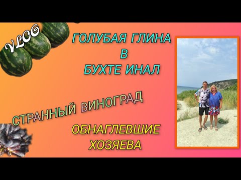 Видео: 🌞 VLOG: Голубая глина в бухте Инал, что от неё осталось в 2025 году/ Купили странный виноград 