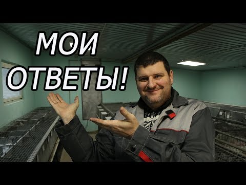 Видео: 10 САМЫХ ЧАСТЫХ ВОПРОСОВ ОТ КРОЛИКОВОДОВ.