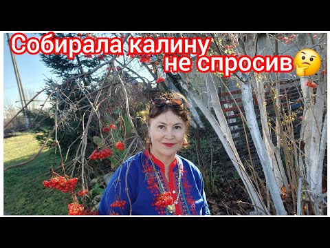 Видео: 96.Ответы на часто задаваемые вопросы. Странные индийские традиции 🤔