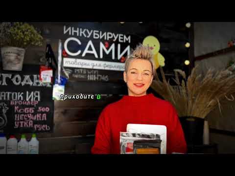 Видео: ОБЗОР ферментационных подстилок (живые бактерии)