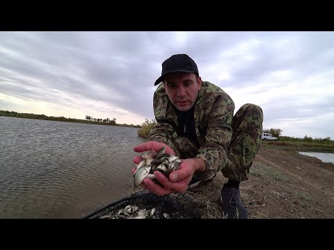Видео: Кастинговая СЕТЬ трещит по швам. Спасли ТЫСЯЧИ малька