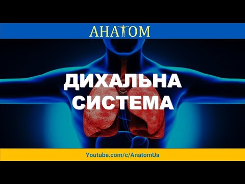 Видео: ДИХАЛЬНА СИСТЕМА