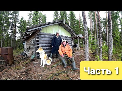 Видео: 🏕 С Батей на Кордон.Жизнь и быт в лесу.(Часть 1)