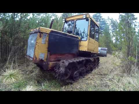 Видео: ДТ-75. Везу дрова