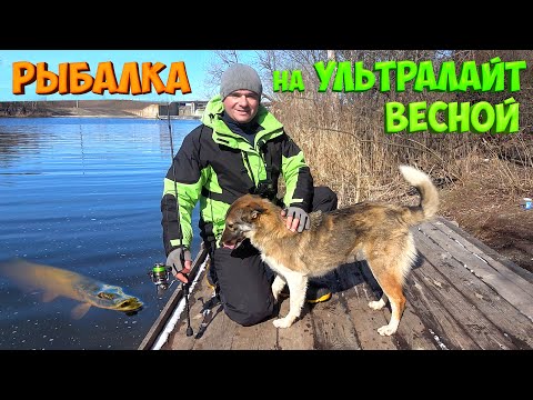 Видео: РЫБАЛКА на УЛЬТРАЛАЙТ ВЕСНОЙ 2021 ● ЛОВЛЯ на МИКРОДЖИГ СПИННИНГ весной