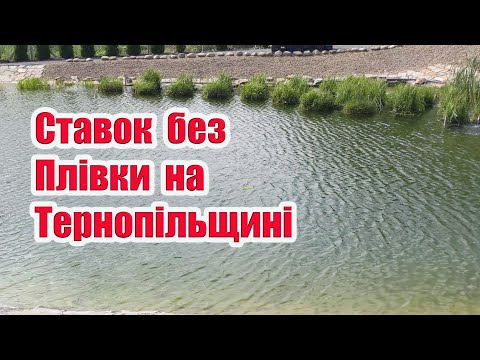 Видео: Ставок без плівки на Тернопільщині