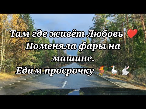 Видео: Поменяла фары на машине 👀Едим просрочку 🐓🪿🐇#жизньвдеревне #тамгдеживетЛюбовь 