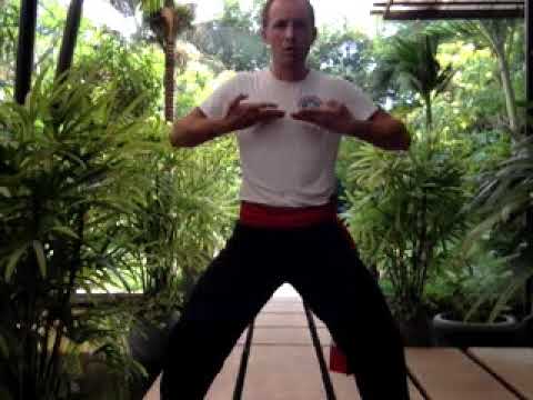 Видео: Здоровье с Николаем Букатаром. Открытый урок №1