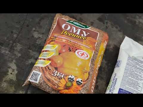 Видео: Рабочие будни: обрезка маточников, подкормка и обрезка годовалых саженцев 15.10.25 г