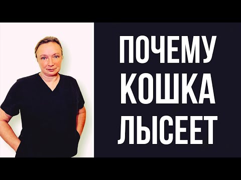 Видео: Как определить причину того, что кошка лысеет | Схема действий для самостоятельной диагностики