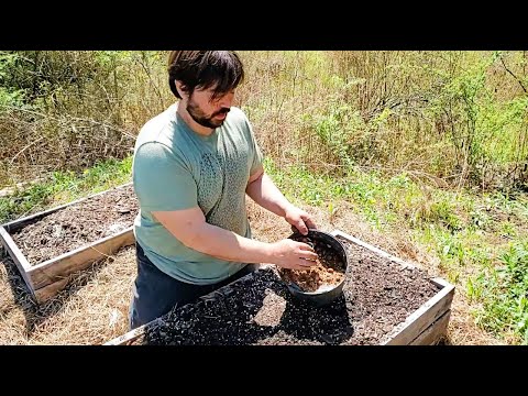 Видео: Обновление Air Prune Box 2024