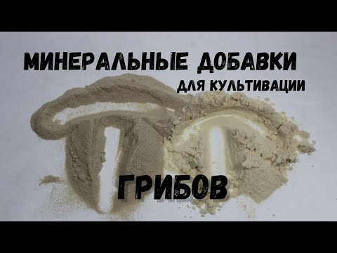 Видео: Минеральные добавки для выращивания Грибов - Гипс - Известь