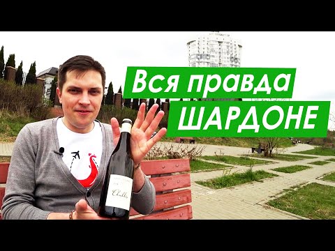 Видео: Шардоне. Рассказываем всё про вино шардоне. Chardonnay wine.  Сорт винограда Шардоне.