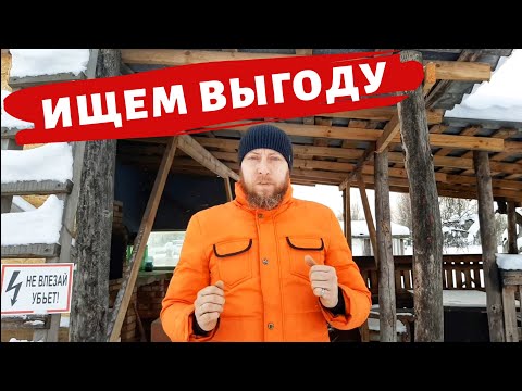 Видео: НА ЧЁМ ЗАРАБАТЫВАТЬ В ДЕРЕВНЕ! ЧТО САМОЕ ВЫГОДНОЕ В ХОЗЯЙСТВЕ!