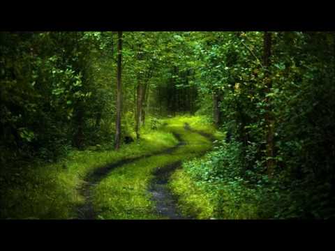 Видео: Випассана. День 9. Лекции С. Н. Гоенка / S. N. Goenka