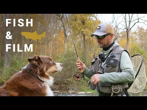 Видео: Рыбалка и кино – Ловля тощей водяной нимфы