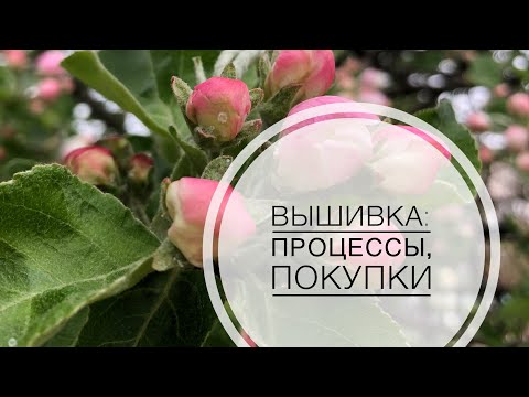 Видео: Вышивка: процессы, покупки