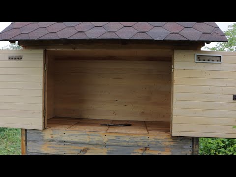 Видео: Апидомик