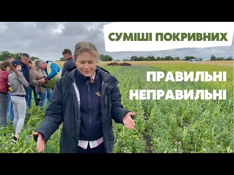 Видео: Правильні та неправильні суміші покровних культур