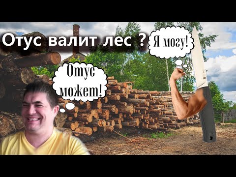 Видео: Нож Отус. УБОЙНЫЙ тест.