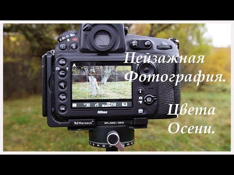 Видео: Пейзажная Фотография. Цвета Осени.