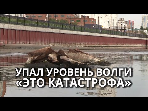 Видео: В Саратове обмелела Волга