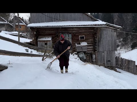 Видео: Життя взимку в Карпатах, в хуртовині ми справляємося з фермою, готуємо кукурудзяну страву (токан)