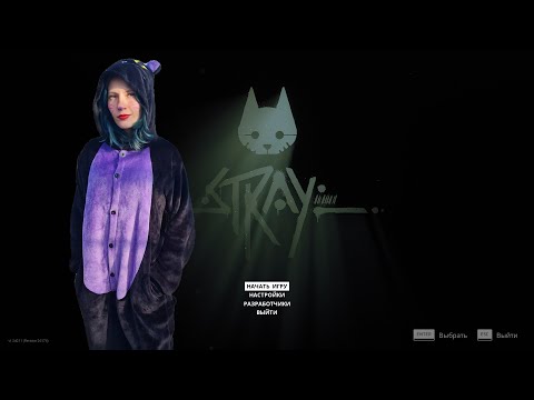 Видео: В ПОИСКАХ БАТИ! | STRAY #3