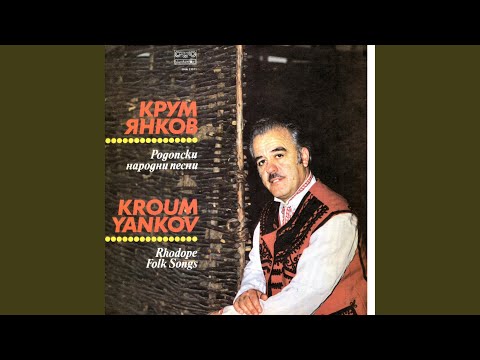 Видео: Коньо, коньо