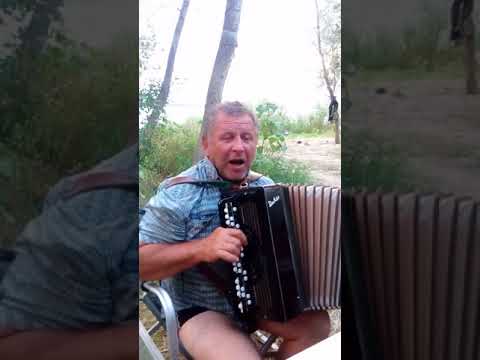 Видео: песня про пришиб и реку бобёр в исполнении петрухи им же сочинёная