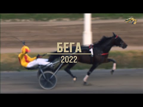 Видео: PRO_Событие. Бега 2022. 22 января 2023 года. 15:55