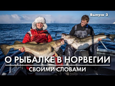 Видео: Рыбалка в Норвегии. Оснастки: ставки и шок-лидеры