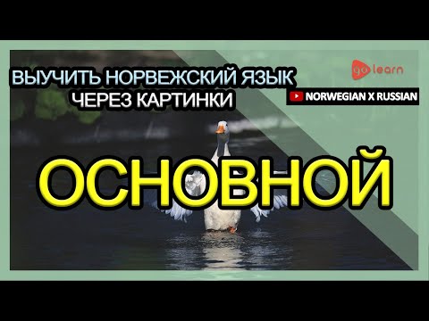 Видео: Выучить норвежский язык через картинки |норвежский язык словарь основной | Golearn