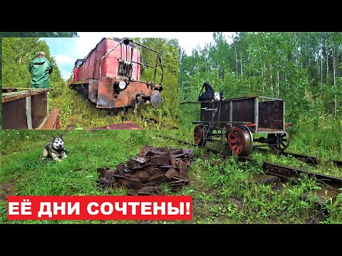 Видео: Домой на ГРУЖЕНОМ МОТОБЛОКЕ по УЖД. Пошел за грибами, а нашел...