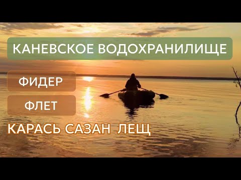 Видео: Фидерная рыбалка на КАНЕВСКОМ водохранилище, мощные поклёвки, обрывы поводков 
