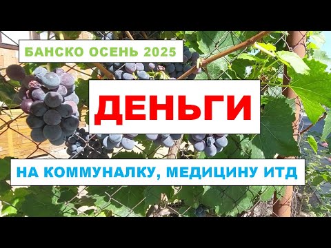 Видео: БАНСКО ДЕНЬГИ НА ВСЕ#banskobulgaria #travel #bansko #путешествия #mountains #money #medicine