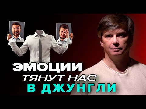 Видео: Эмоции тянут нас в джунгли | Как управлять лимбической системой