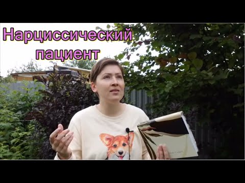 Видео: Нарциссический пациент. Психотерапия нарциссизма. Х. Когут