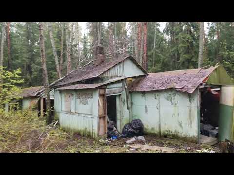 Видео: Поход в кемпинг лагерь 2