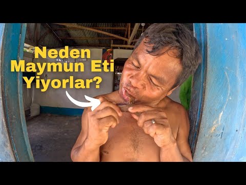 Видео: Я съел мясо обезьяны! Мой 1 день с племенем амазонок.