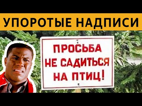 Видео: 50 САМЫХ ЛЮТЫХ ОБЪЯВЛЕНИЙ - ПРОСЬБА НЕ САДИТЬСЯ НА ПТИЦ :D