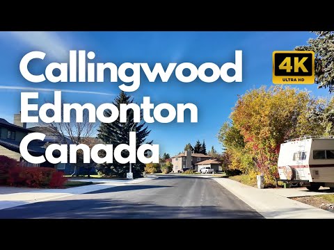 Видео: Исследуем район Callingwood в Эдмонтоне, Канада — пешеходная экскурсия 4K