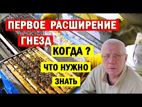 Видео: Когда НУЖНО Расширять гнездо пчел весной? Как правильно ухаживать за пчелами весной без потерь?