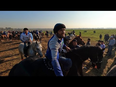 Видео: Тошкент Тулабек улок купкари2022! Kokpar kokboru buzkashi!