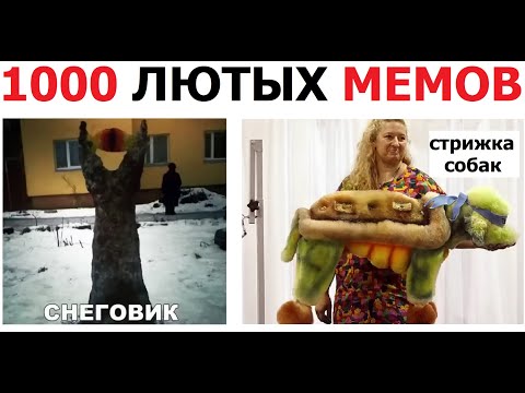 Видео: 1000 приколов с канала Макса Максимова с 2015 по 2024